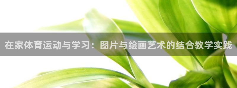 bbin视讯下：在家体育运动与学习：图片与绘画艺术的结合教学实践