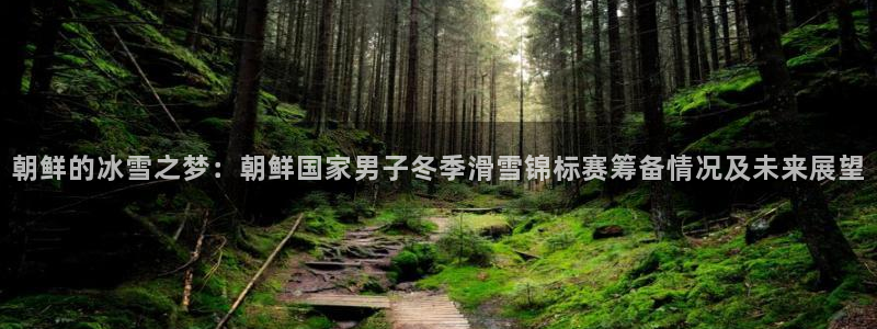 bbin视讯游戏平台：朝鲜的冰雪之梦：朝鲜国家男子冬季滑雪锦标赛筹备情况及未来展望