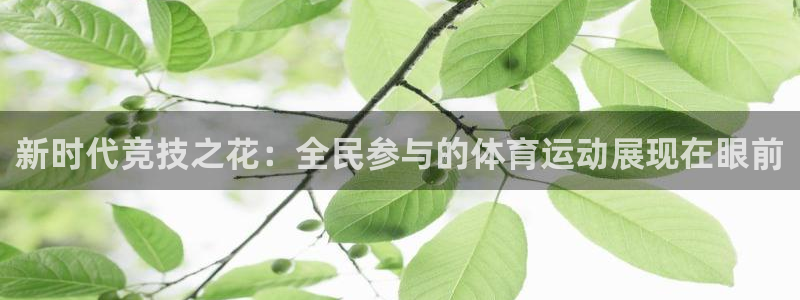 bbin视讯：新时代竞技之花：全民参与的体育运动展现在眼前