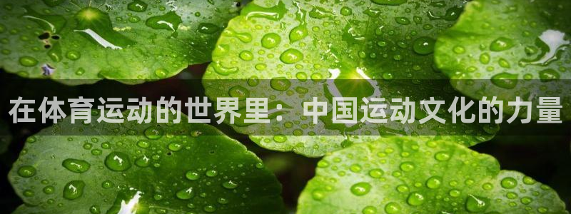 bbin视讯