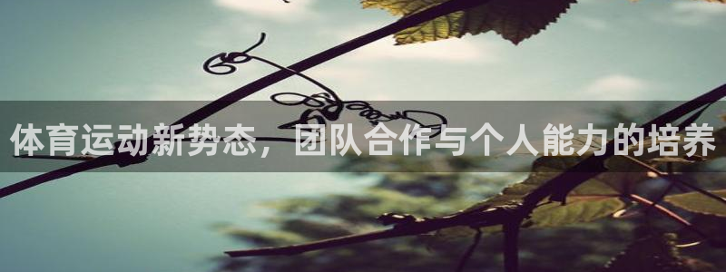 bbin视讯