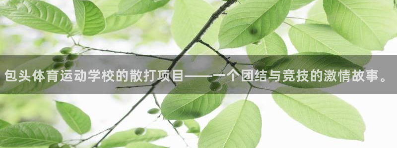 bbin视讯