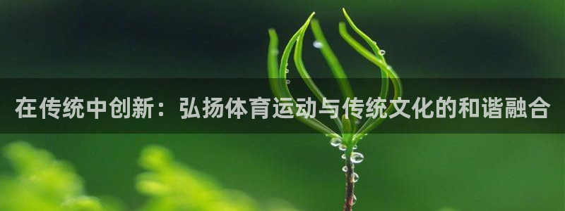 bbin视讯：在传统中创新：弘扬体育运动与传统文化的和谐融合