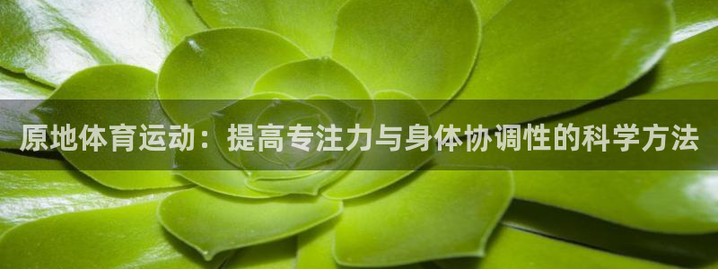 bbin视讯游戏官网：原地体育运动：提高专注力与身体协调性的科学方法